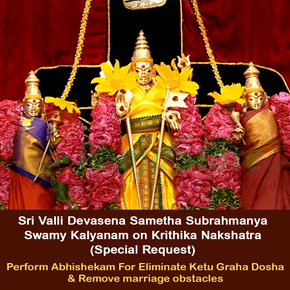 Sri Valli Devasena Sametha Subrahmanya Swamy Kalyanam on Krithika Nakshatra  (Special Request)